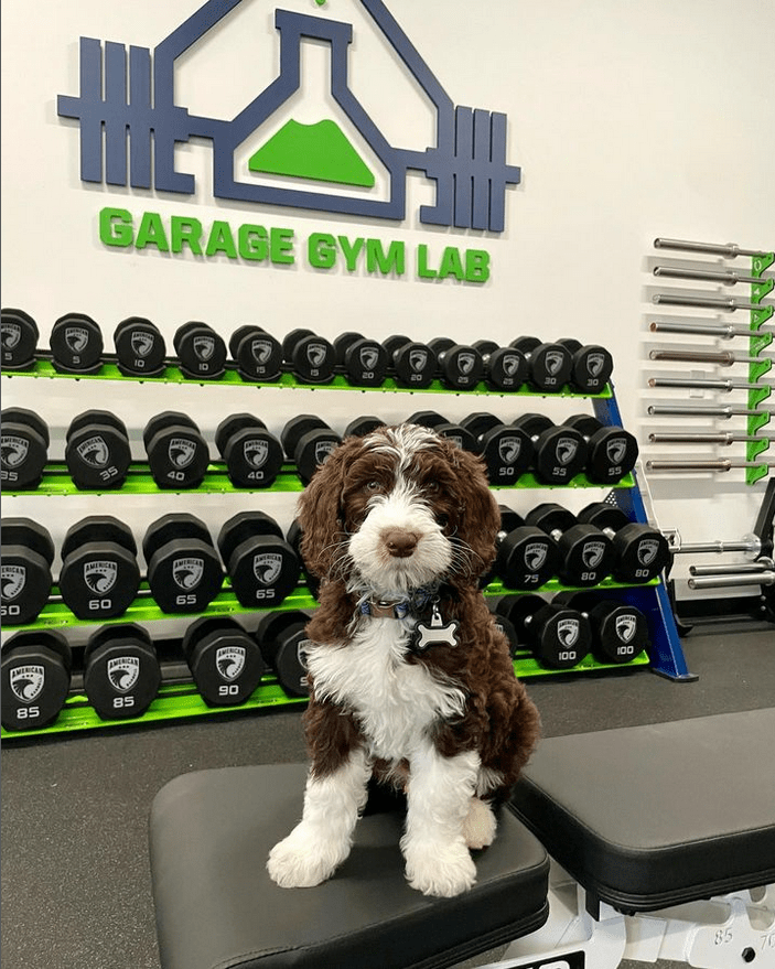 Always got to love a good gym equipment unboxing! It's been so cool  watching everyone show off their new Appalachian Bars! 📸:…